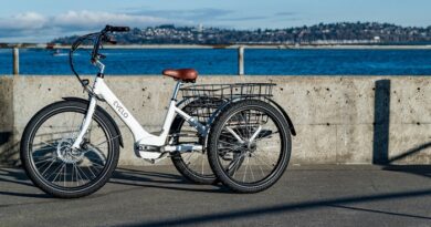 Tricycle for Special Needs Teenagers, tricycle for handicapped, special needs trikes, disabled tricycles, Physically Handicapped tricycles, Adaptive Tricycle for Special Needs Teenager