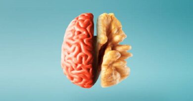 walnuts, brain health