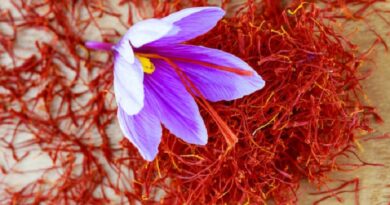 saffron benefits